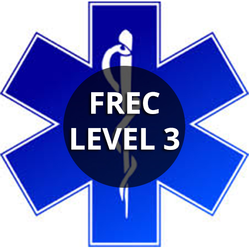 Image result for frec level 3